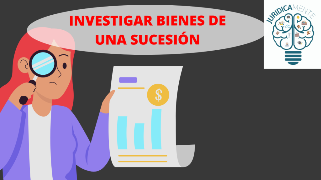 INVESTIGAR BIENES EN UNA SUCESIÓN
