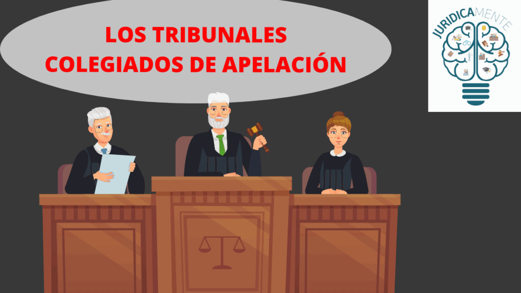 LOS TRIBUNALES COLEGIADOS DE APELACIÓN