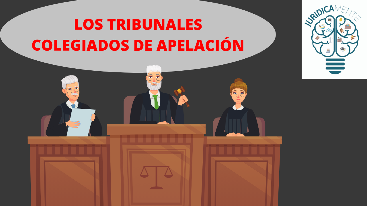 ¿Qué son los Tribunales Colegiados de Apelación en México? - Jurídicamente
