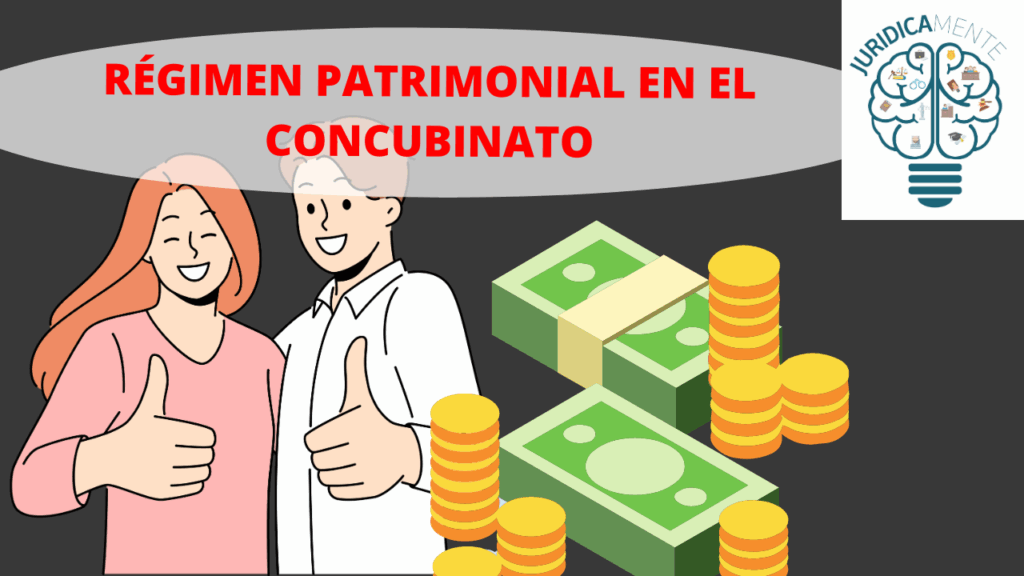 RÉGIMEN PATRIMONIAL EN EL CONCUBINATO